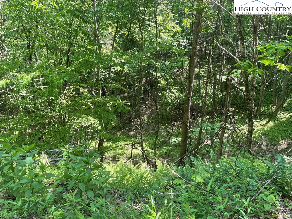 Image number 11 for the current listing