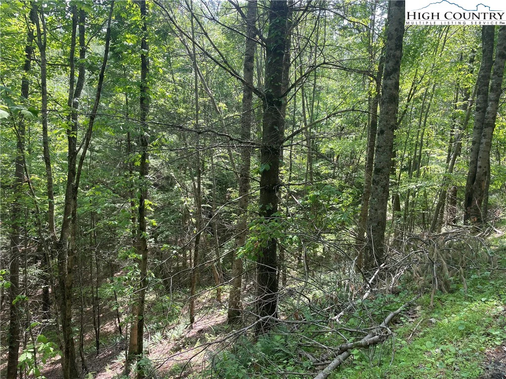 Image number 12 for the current listing