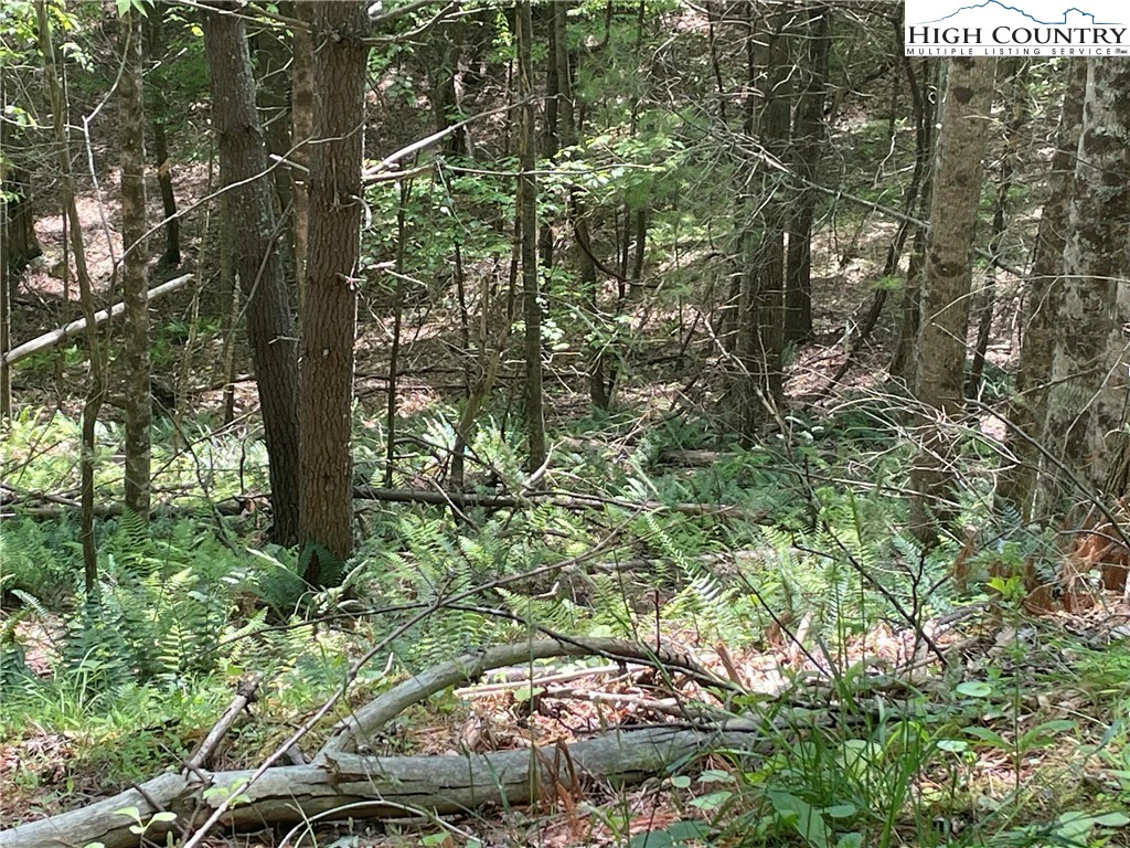 Image number 1 for the current listing