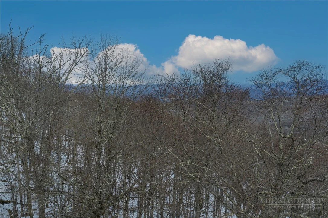 Image number 2 for the current listing
