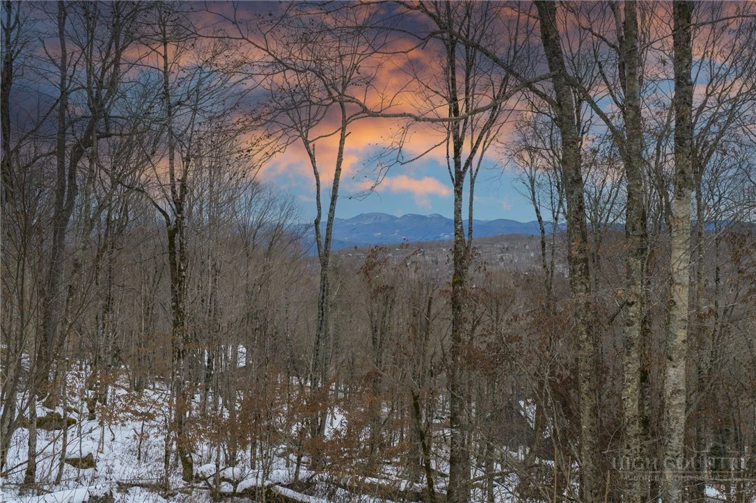 Image number 13 for the current listing