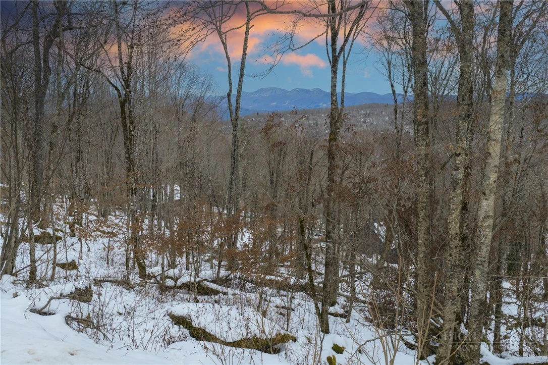 Image number 12 for the current listing