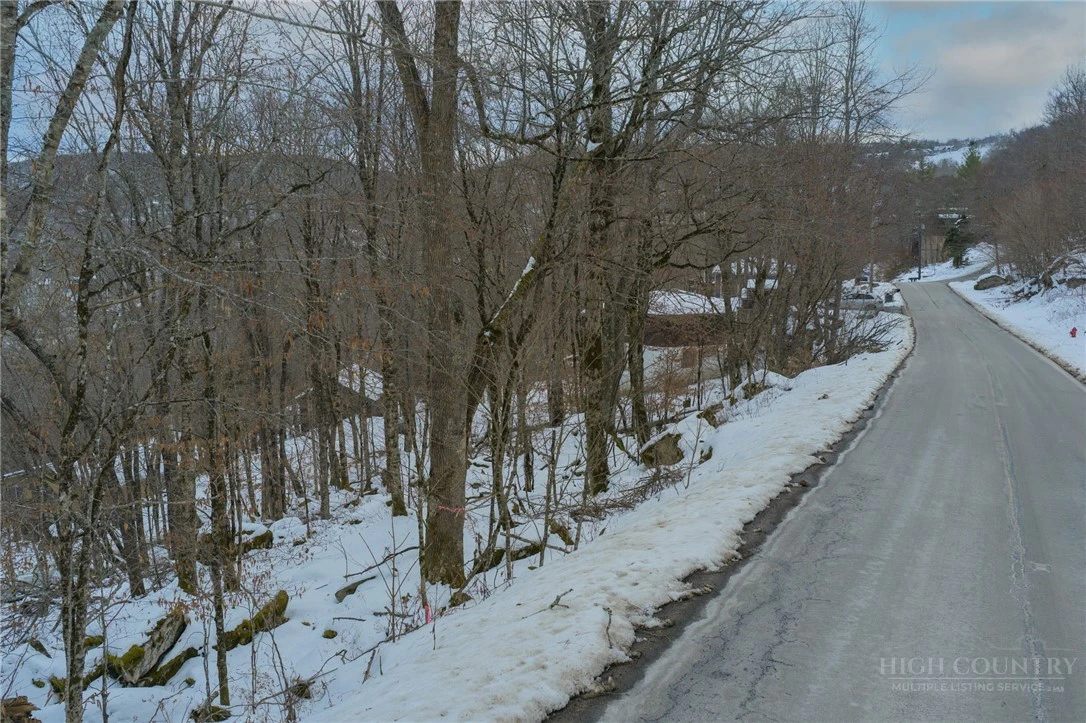Image number 11 for the current listing