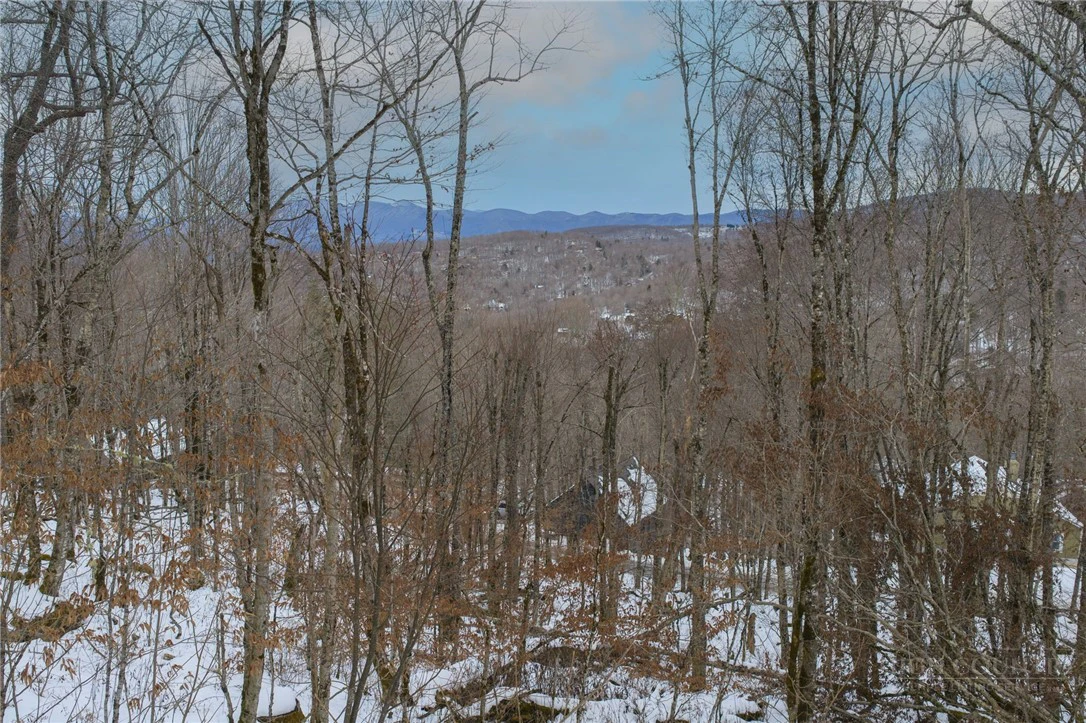Image number 10 for the current listing