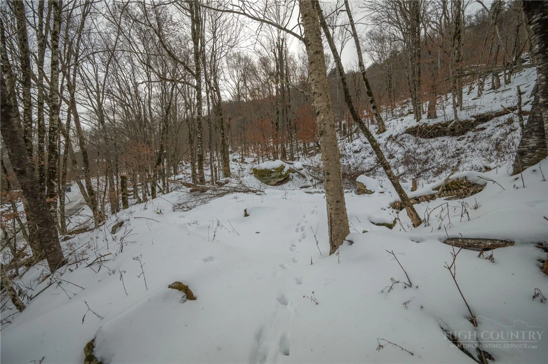 Image number 7 for the current listing