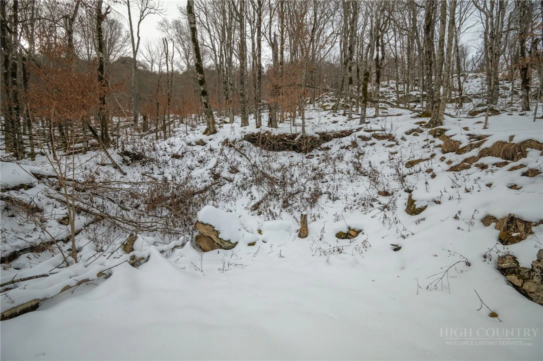 Image number 6 for the current listing