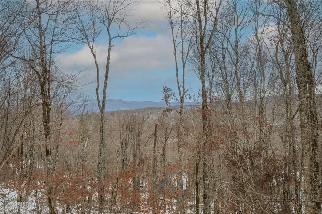Image number 4 for the current listing