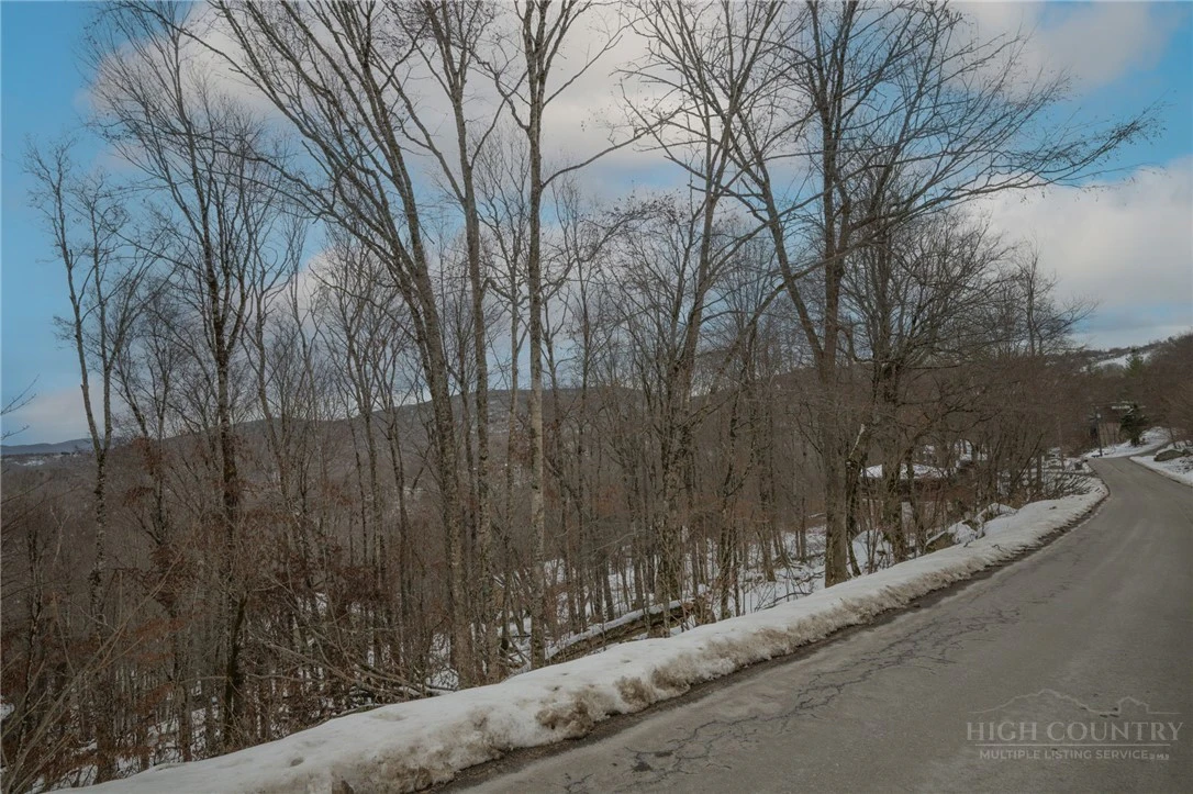 Image number 3 for the current listing