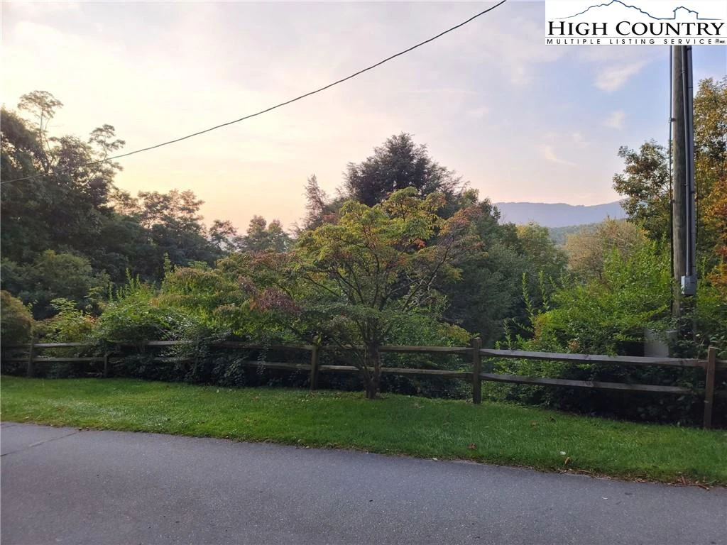Image number 1 for the current listing