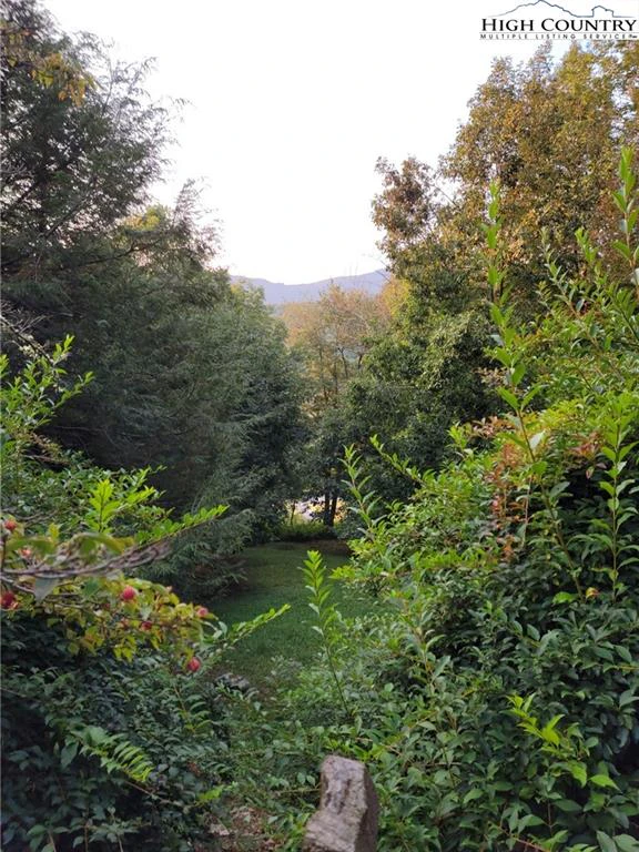 Image number 3 for the current listing