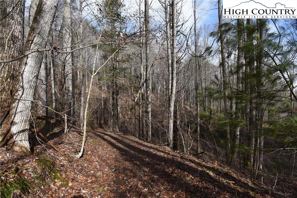 Image number 11 for the current listing