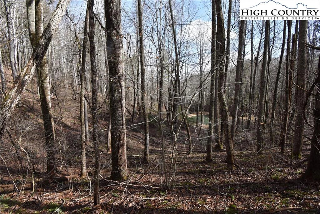 Image number 9 for the current listing