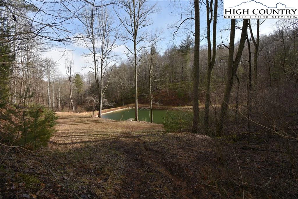 Image number 7 for the current listing