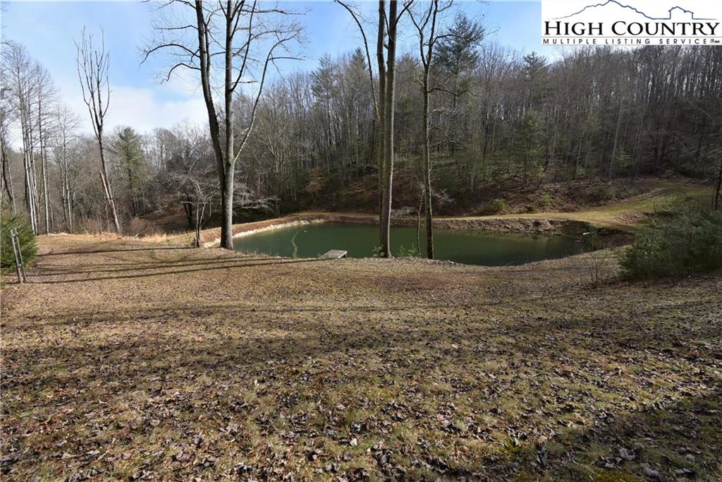 Image number 6 for the current listing