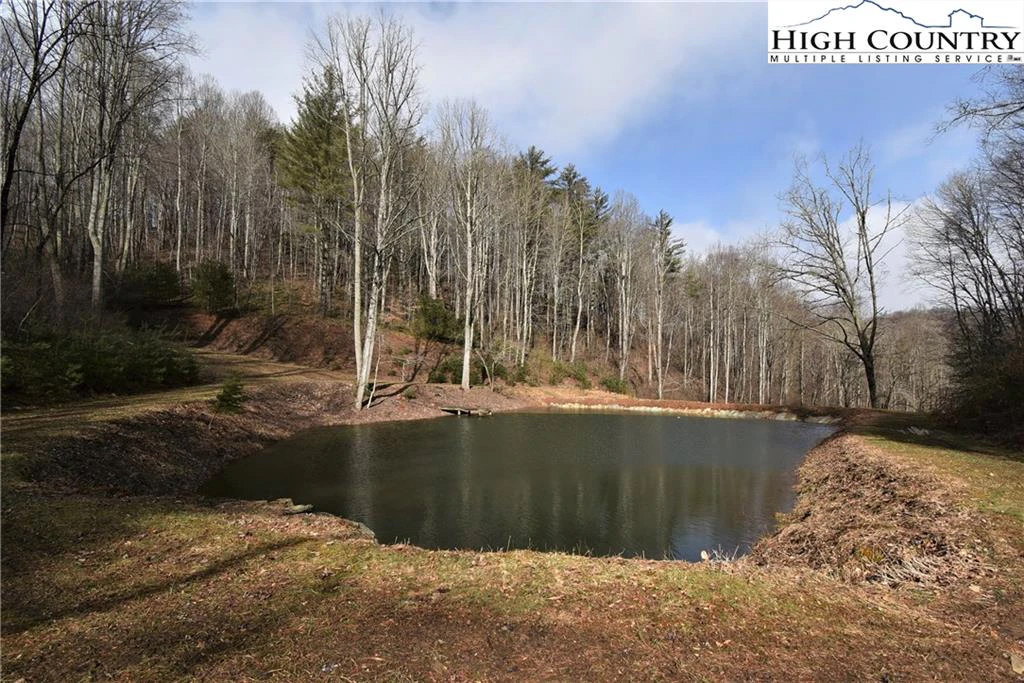 Image number 4 for the current listing
