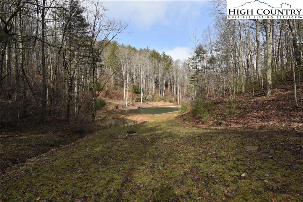 Image number 3 for the current listing