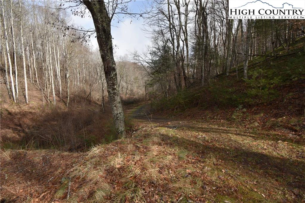 Image number 16 for the current listing