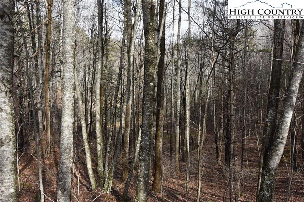 Image number 14 for the current listing