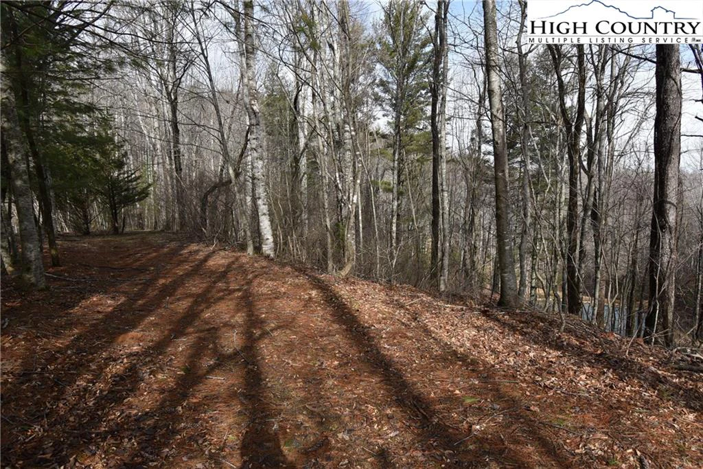 Image number 2 for the current listing