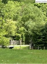 Image number 1 for the current listing