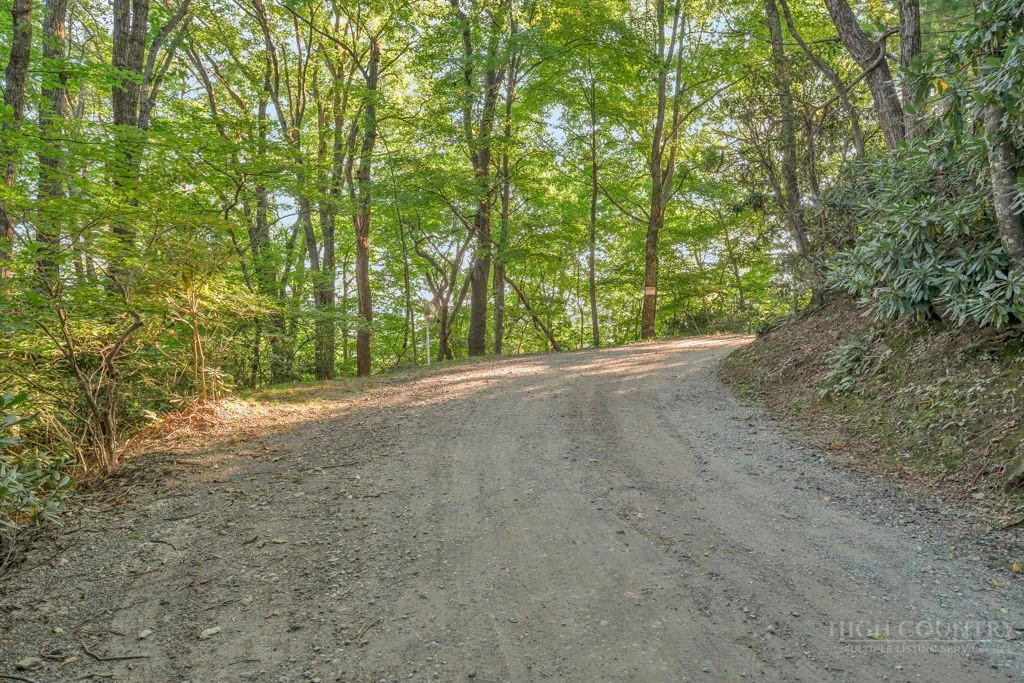 Image number 4 for the current listing