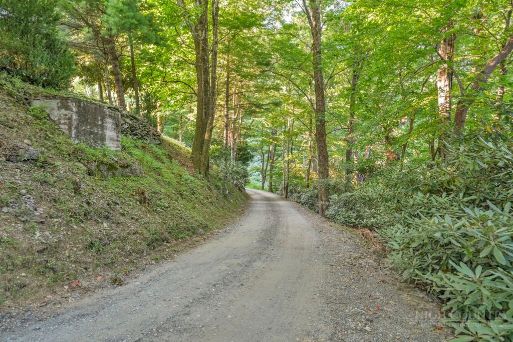 Image number 3 for the current listing