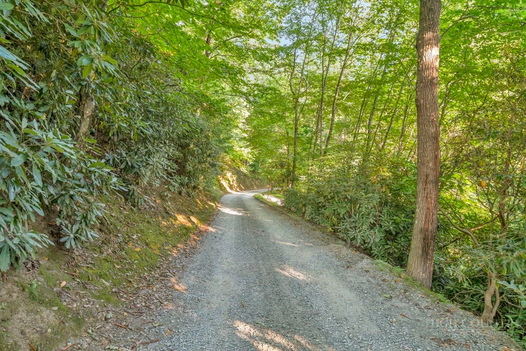 Image number 2 for the current listing
