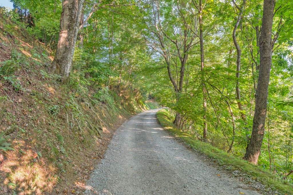 Image number 1 for the current listing