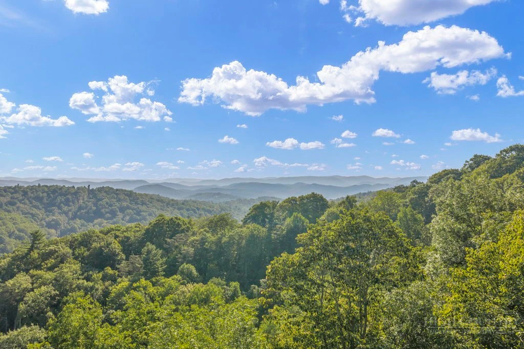 Image number 5 for the current listing