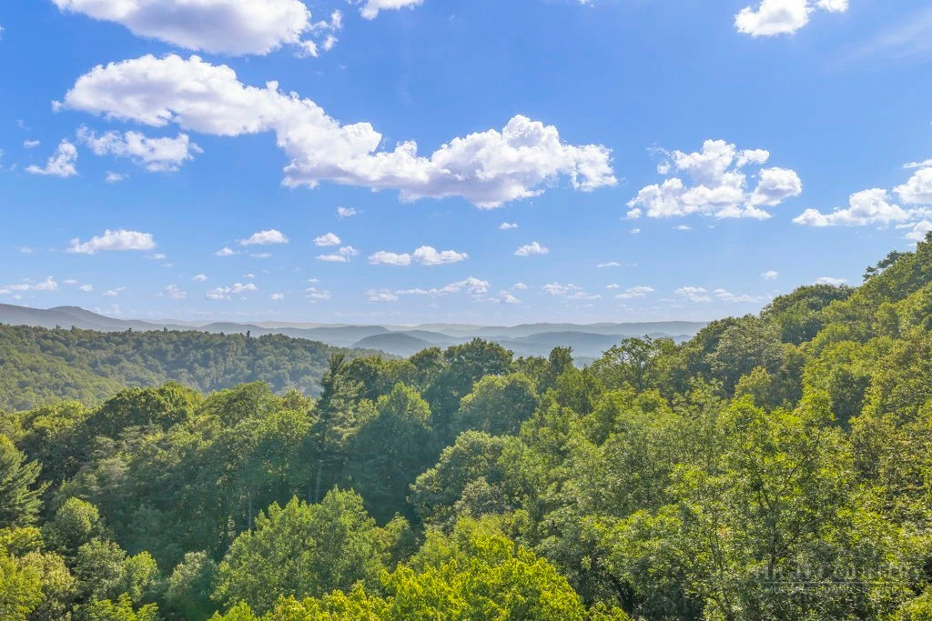 Image number 6 for the current listing