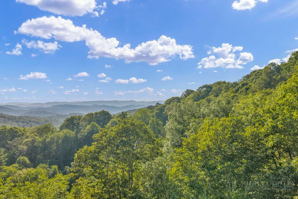 Image number 7 for the current listing