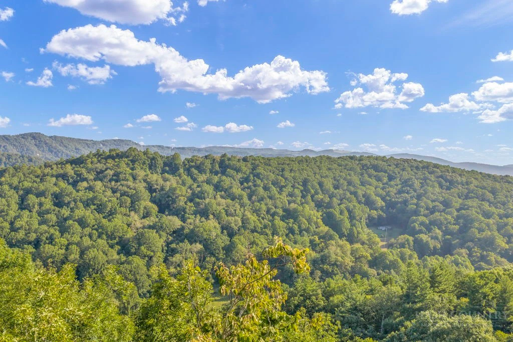 Image number 10 for the current listing