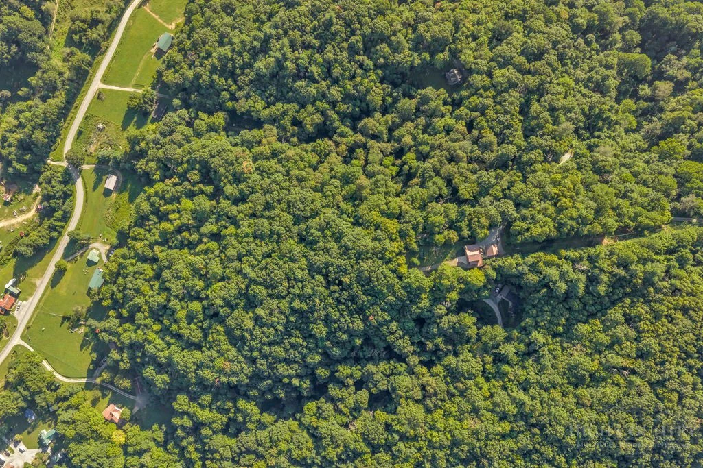 Image number 15 for the current listing
