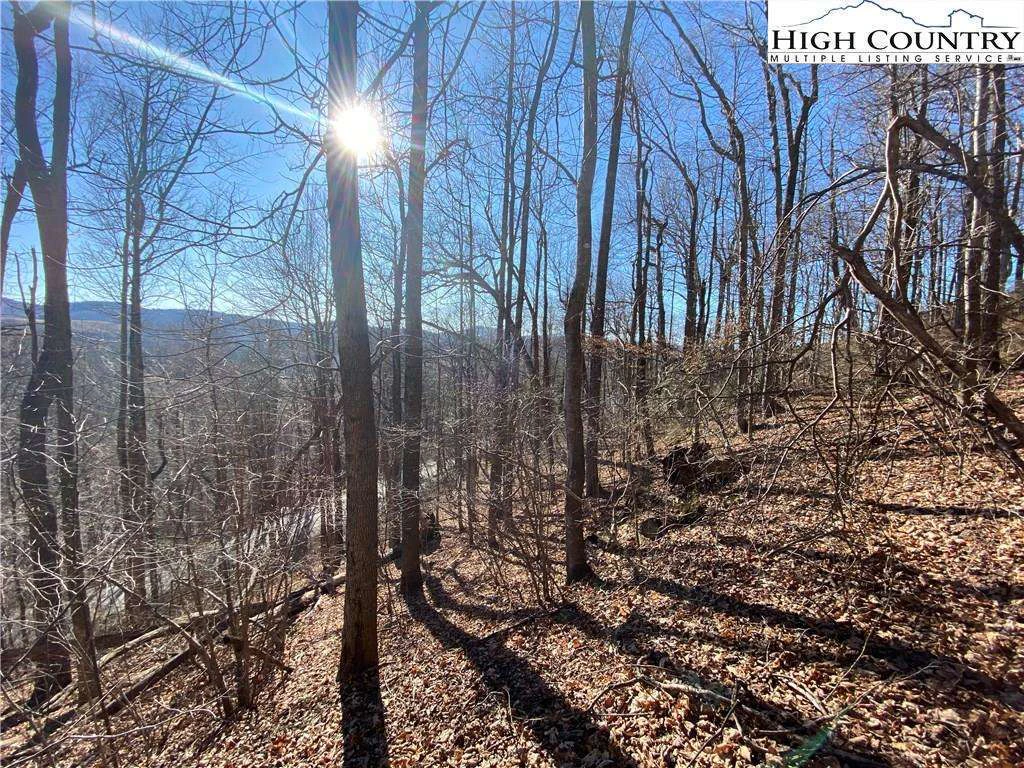 Image number 1 for the current listing