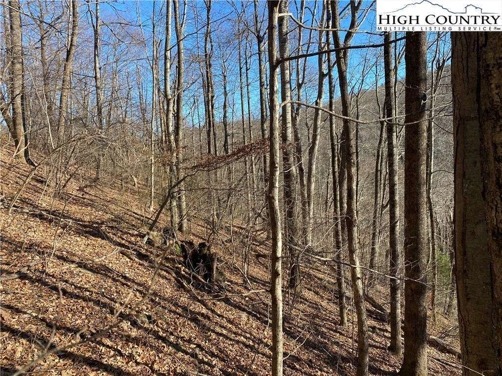 Image number 11 for the current listing
