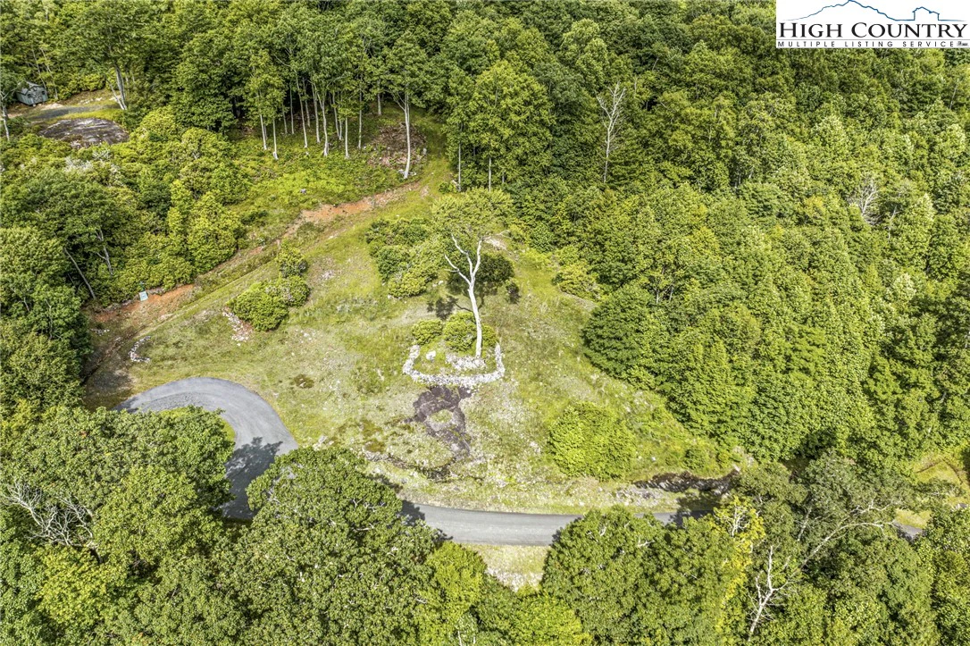 Image number 2 for the current listing