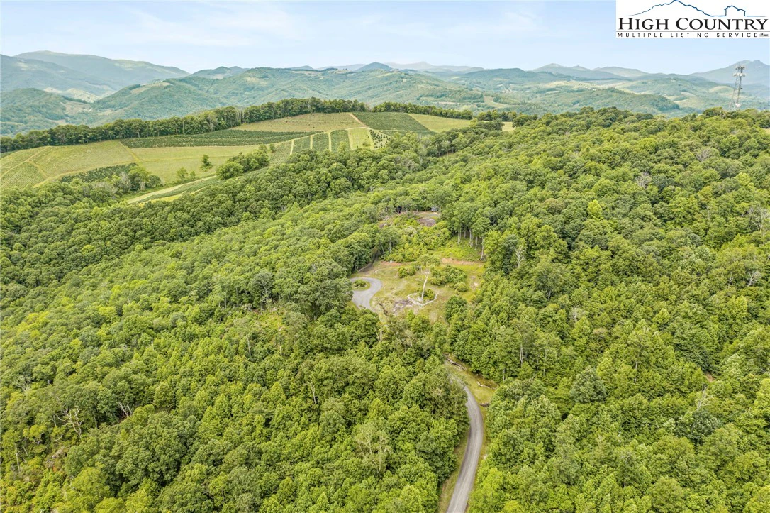 Image number 7 for the current listing