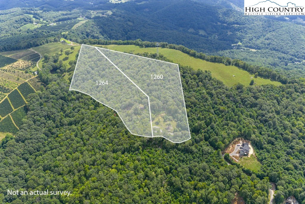 Image number 1 for the current listing