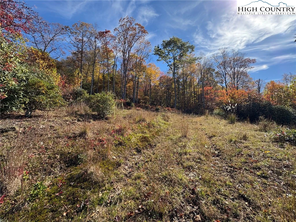Image number 4 for the current listing