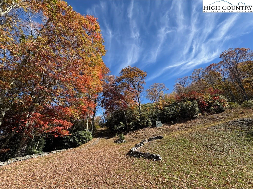 Image number 3 for the current listing