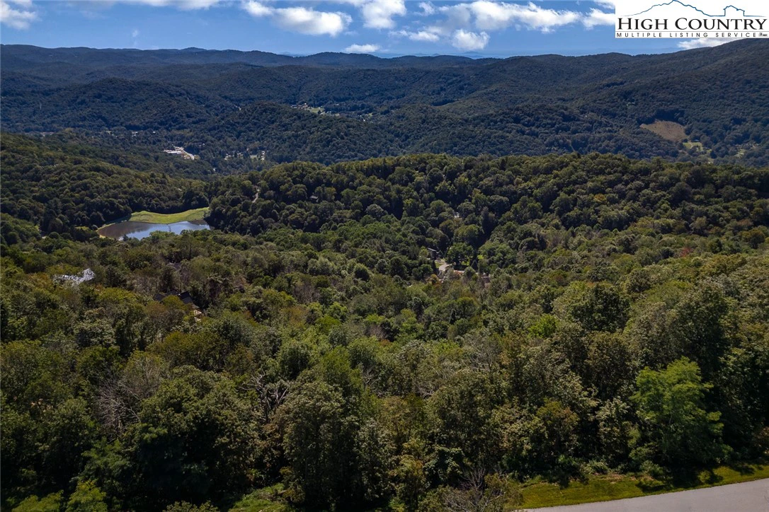 Image number 3 for the current listing