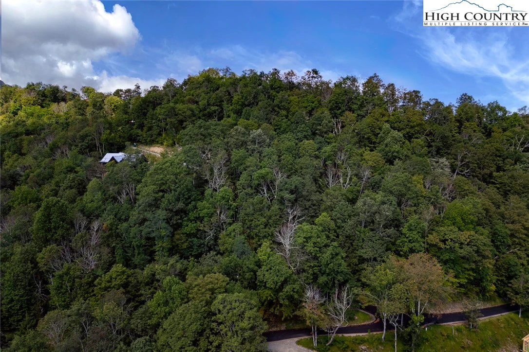 Image number 10 for the current listing