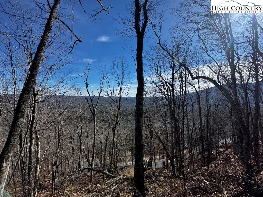 Image number 20 for the current listing
