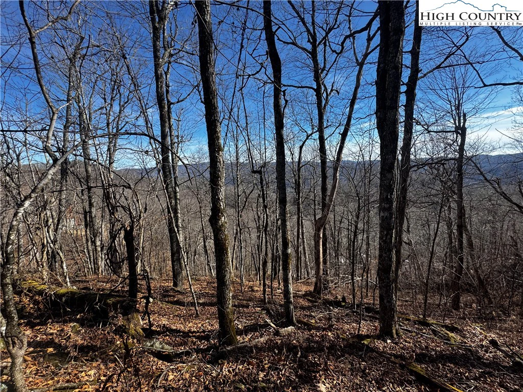 Image number 1 for the current listing