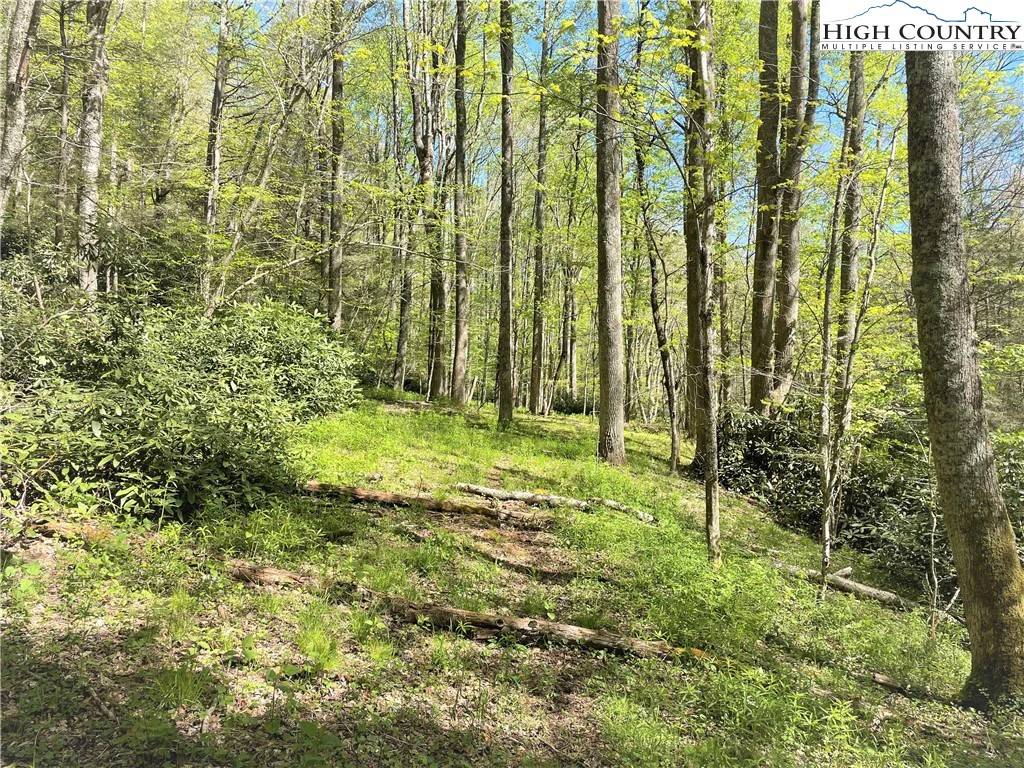 Image number 13 for the current listing