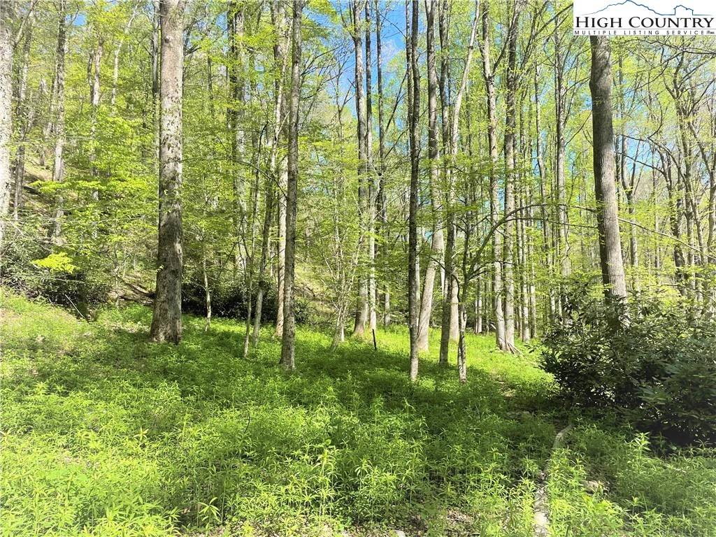 Image number 14 for the current listing