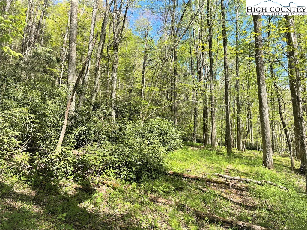Image number 15 for the current listing