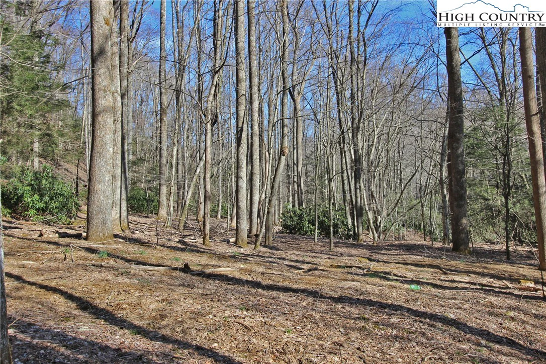 Image number 22 for the current listing