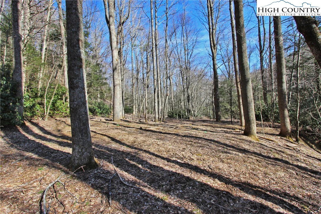 Image number 11 for the current listing
