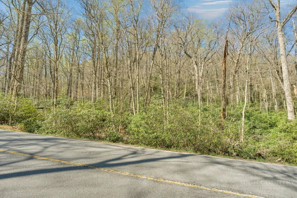 Image number 3 for the current listing